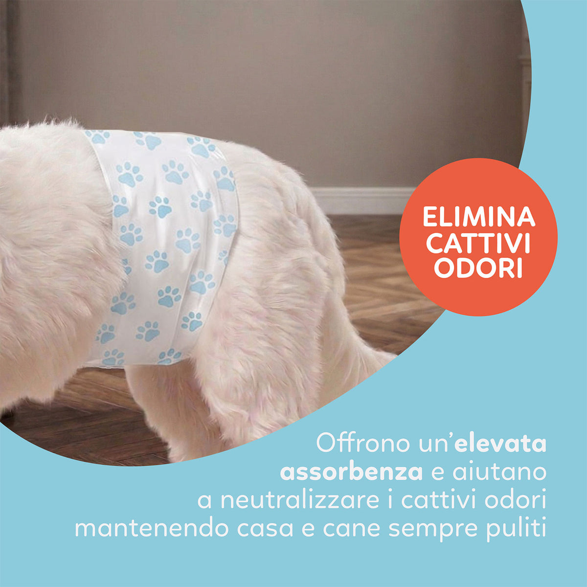 AQPET FRIENDS Nappy Slips Pannolini A Fascia Per Cani Maschi 36 Pezzi Assorbenti Igiene Quotidiana