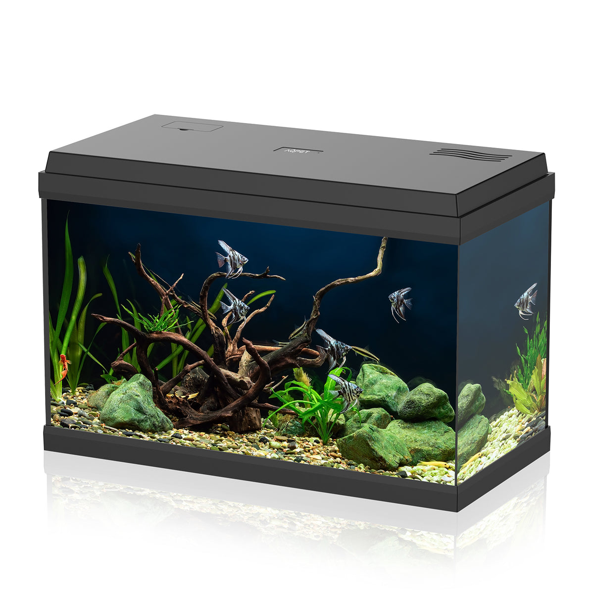 AQPET ACQUARIO SIMPLY LED 60 NERO COMPLETO LUCE FILTRO E RISCALDATORE - 59X30X39 H CM