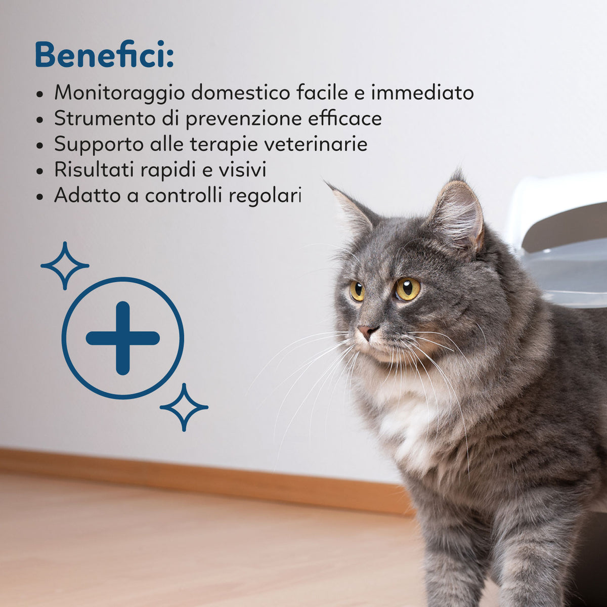 AQPET FRIENDS Lettiera In Silicio Catty Profumazione PH Check Per Gatti Super Assorbente Antiodore Igiene Gatto