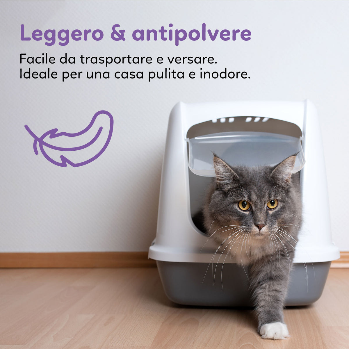 AQPET FRIENDS Lettiera In Silicio Catty Profumazione Lavanda Per Gatti Super Assorbente Antiodore Igiene Gatto