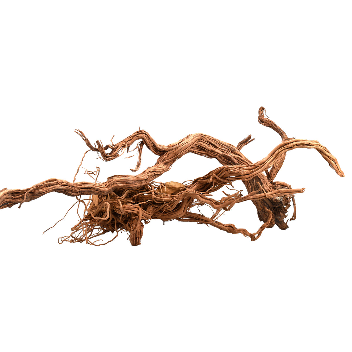 AQPET ZEN WOOD AZALEA DRAGON ROOT WOOD SELECT