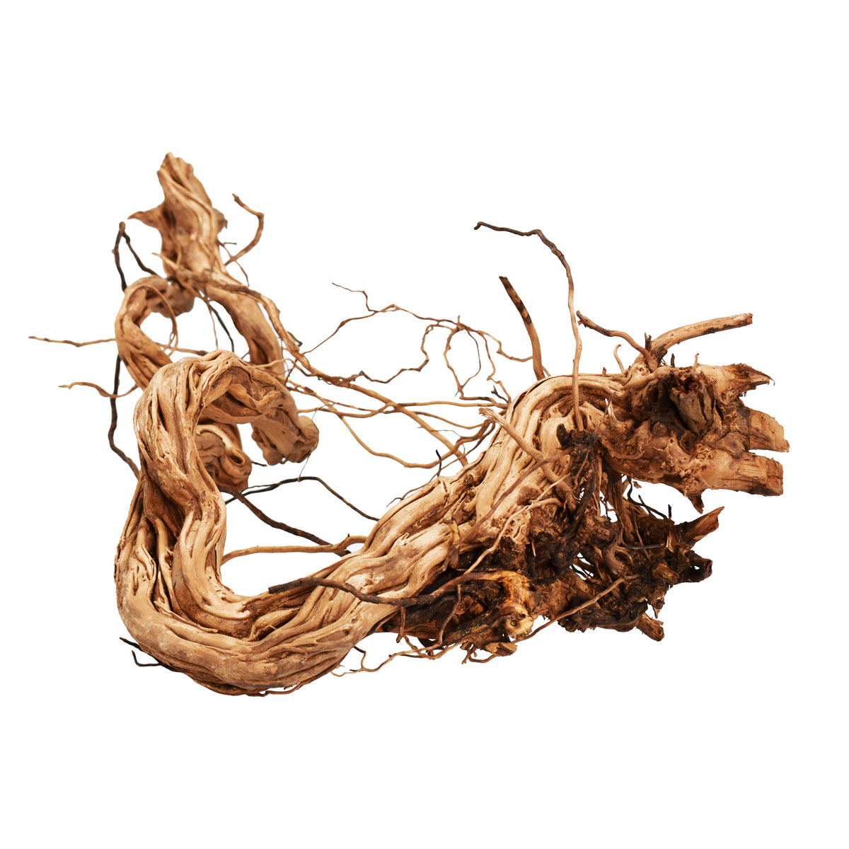 AQPET ZEN WOOD AZALEA DRAGON ROOT WOOD SELECT