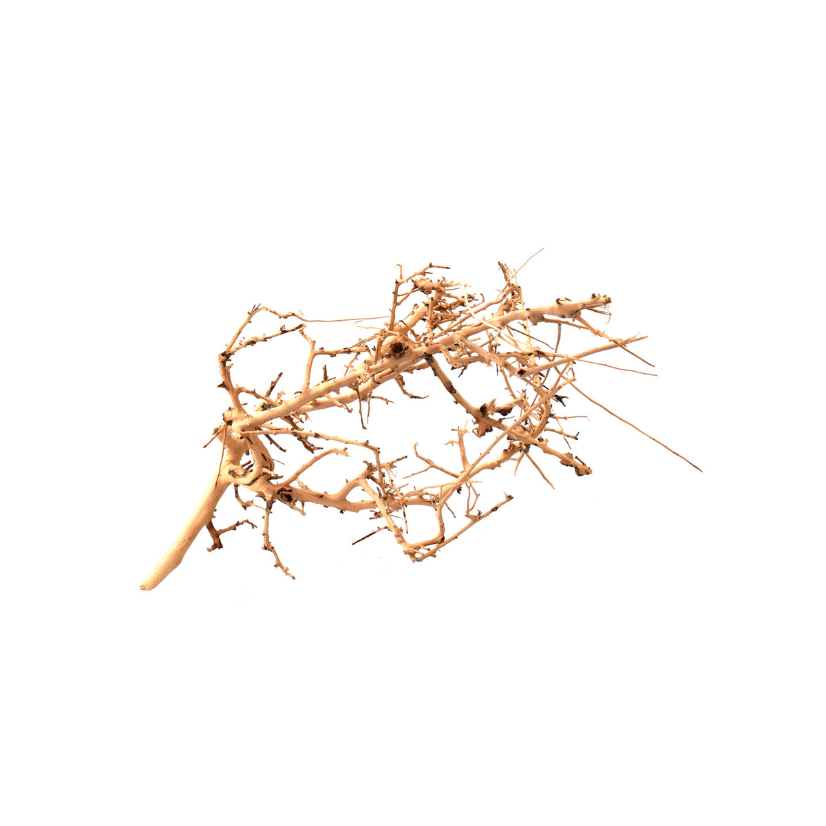 AQPET ZEN WOOD TINY RADICE LEGNO