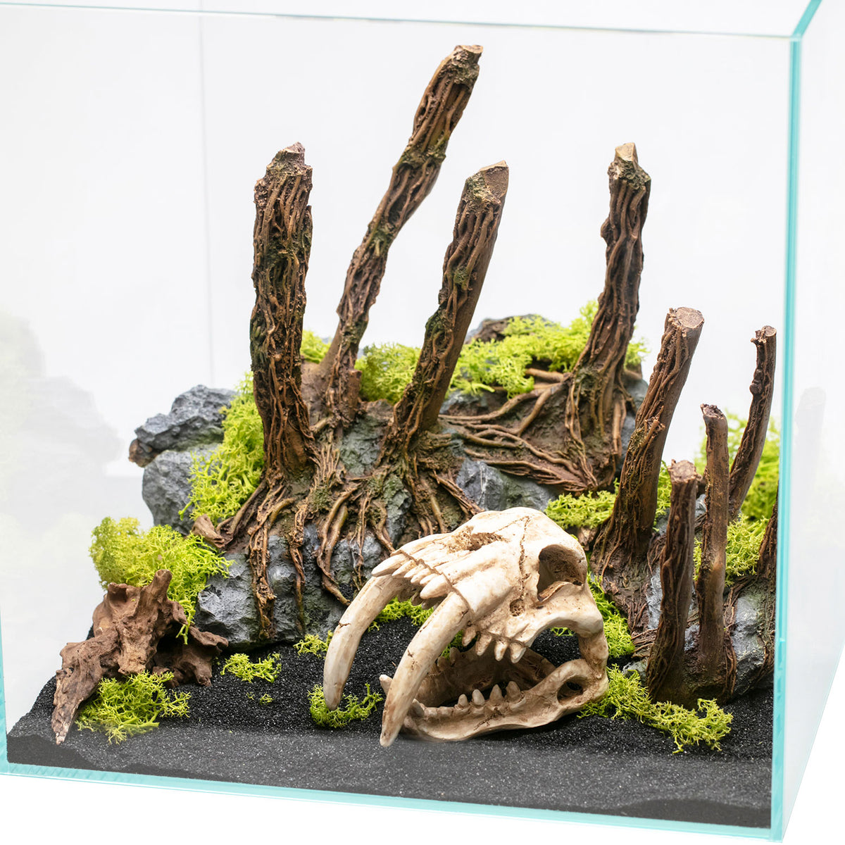 AQPET DECORART DECORI PER ACQUARI MOD. BARE ROOTS 32.5*21*24