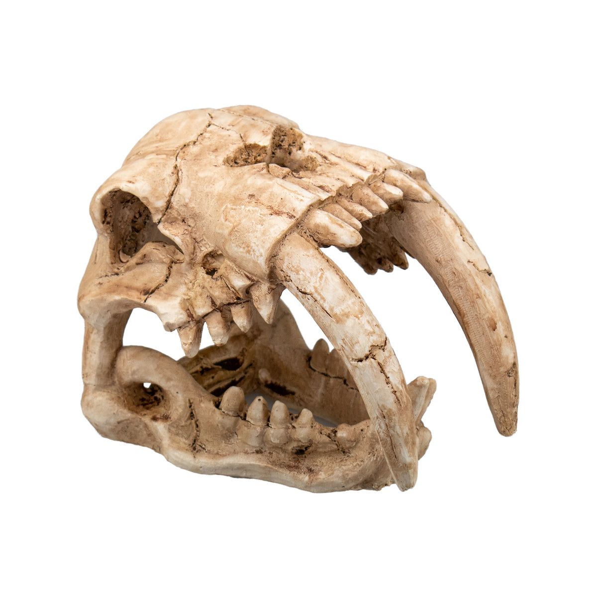 AQPET DECORART DECORI PER ACQUARI MOD. FOSSIL SKULL 15*9.5*11