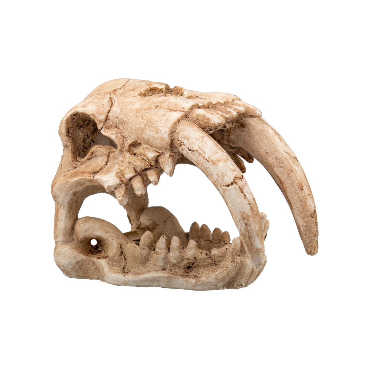 AQPET DECORART DECORI PER ACQUARI MOD. FOSSIL SKULL 15*9.5*11