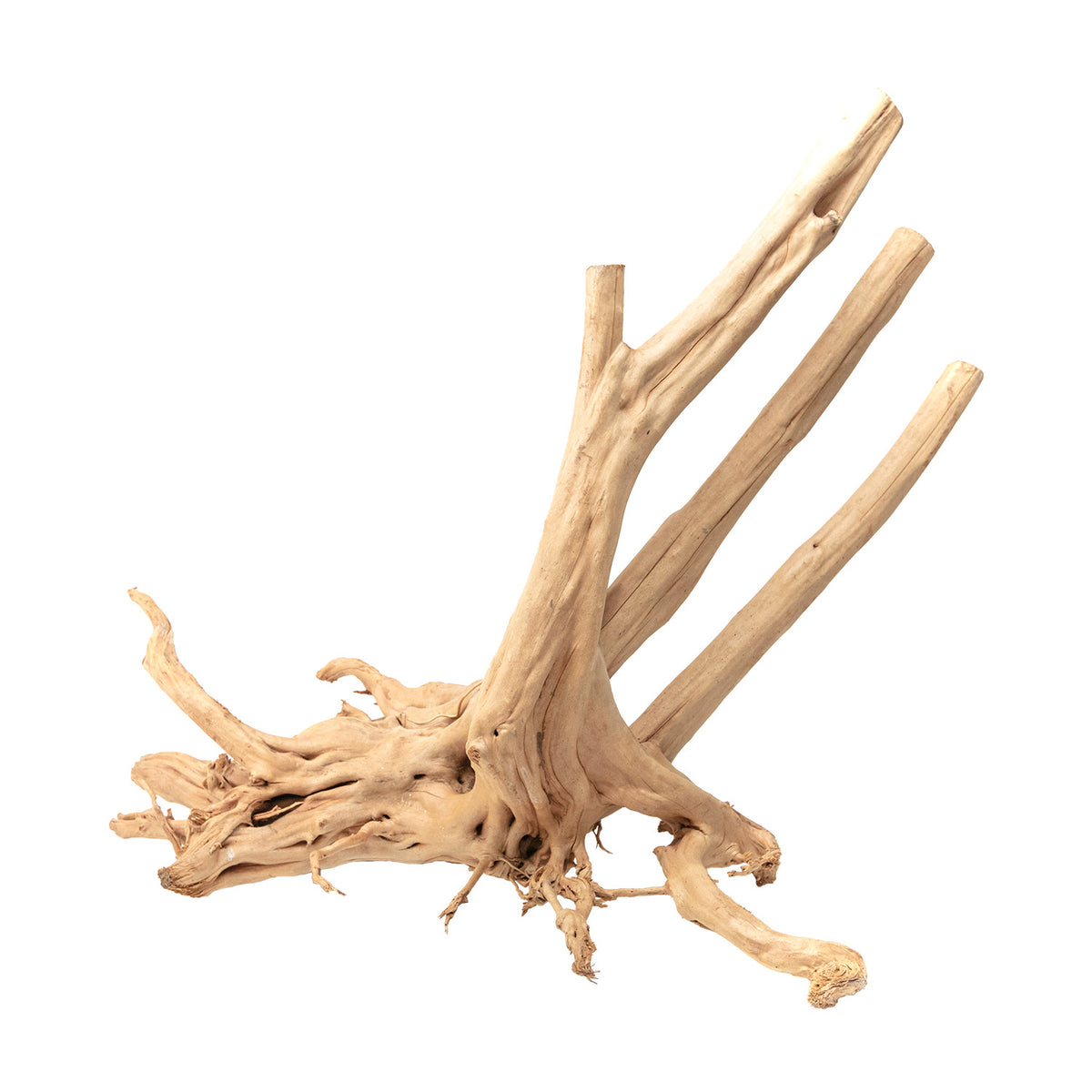 AQPET ZEN WOOD STUMP