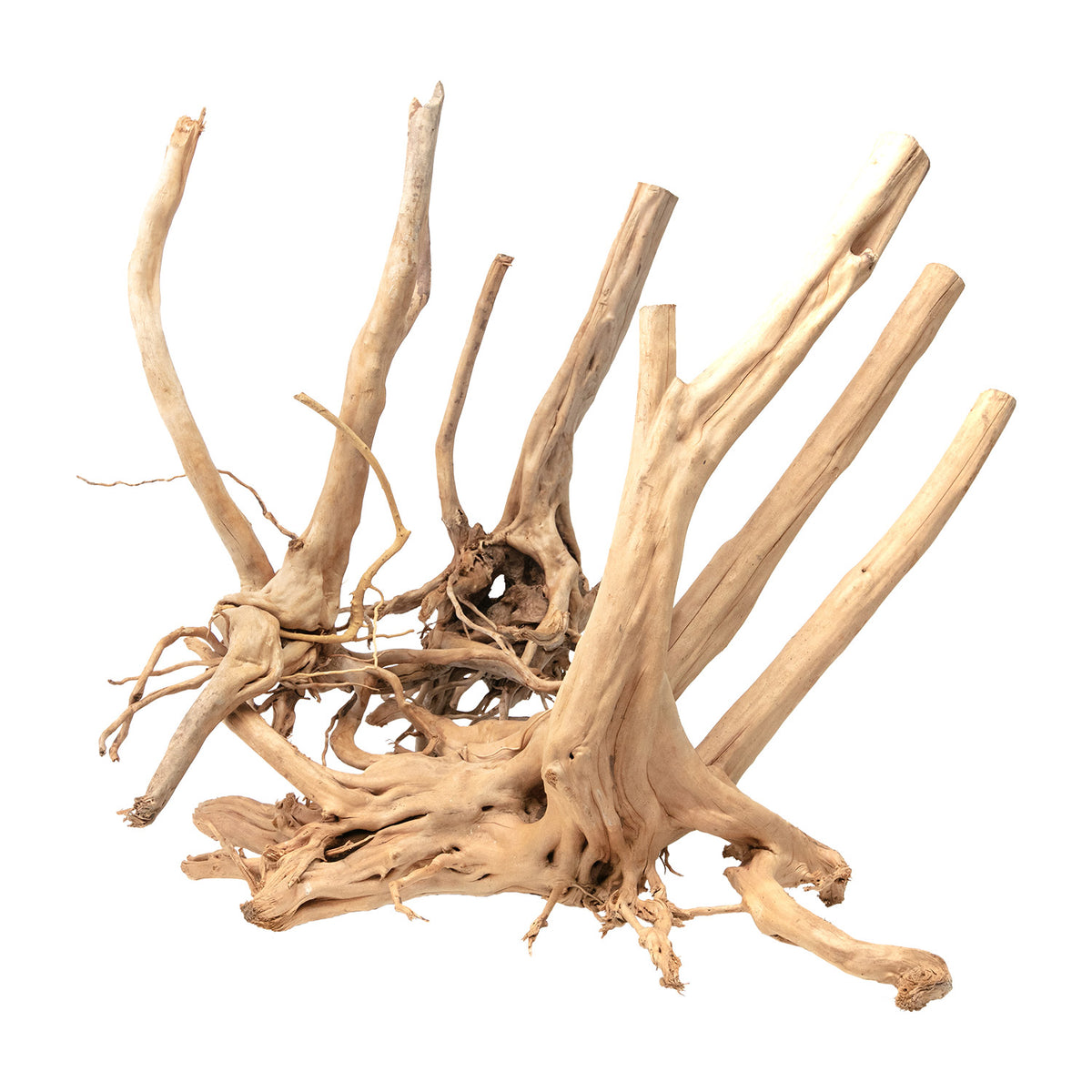 AQPET ZEN WOOD STUMP