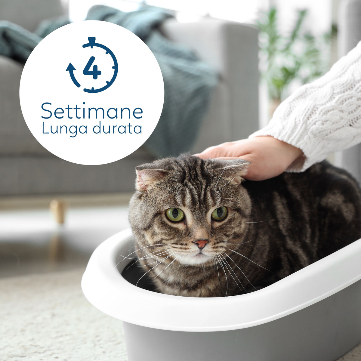 AQPET FRIENDS Lettiera In Silicio Catty Profumazione PH Check Per Gatti Super Assorbente Antiodore Igiene Gatto