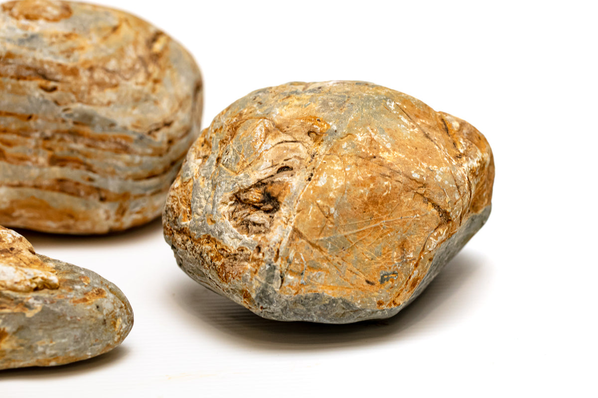 AQPET ZEN STONE ROCCE HOWLOON (CONF.20KG MIXED) 300GR /3 KG