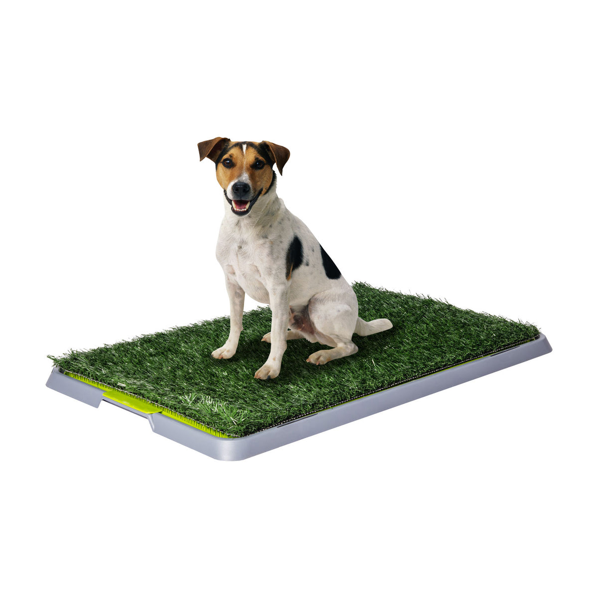 AQPET FRIENDS Lettiera DogLitter con Erba Sintetica per Bisogni Cane Cuccioli 67x42x5 cm