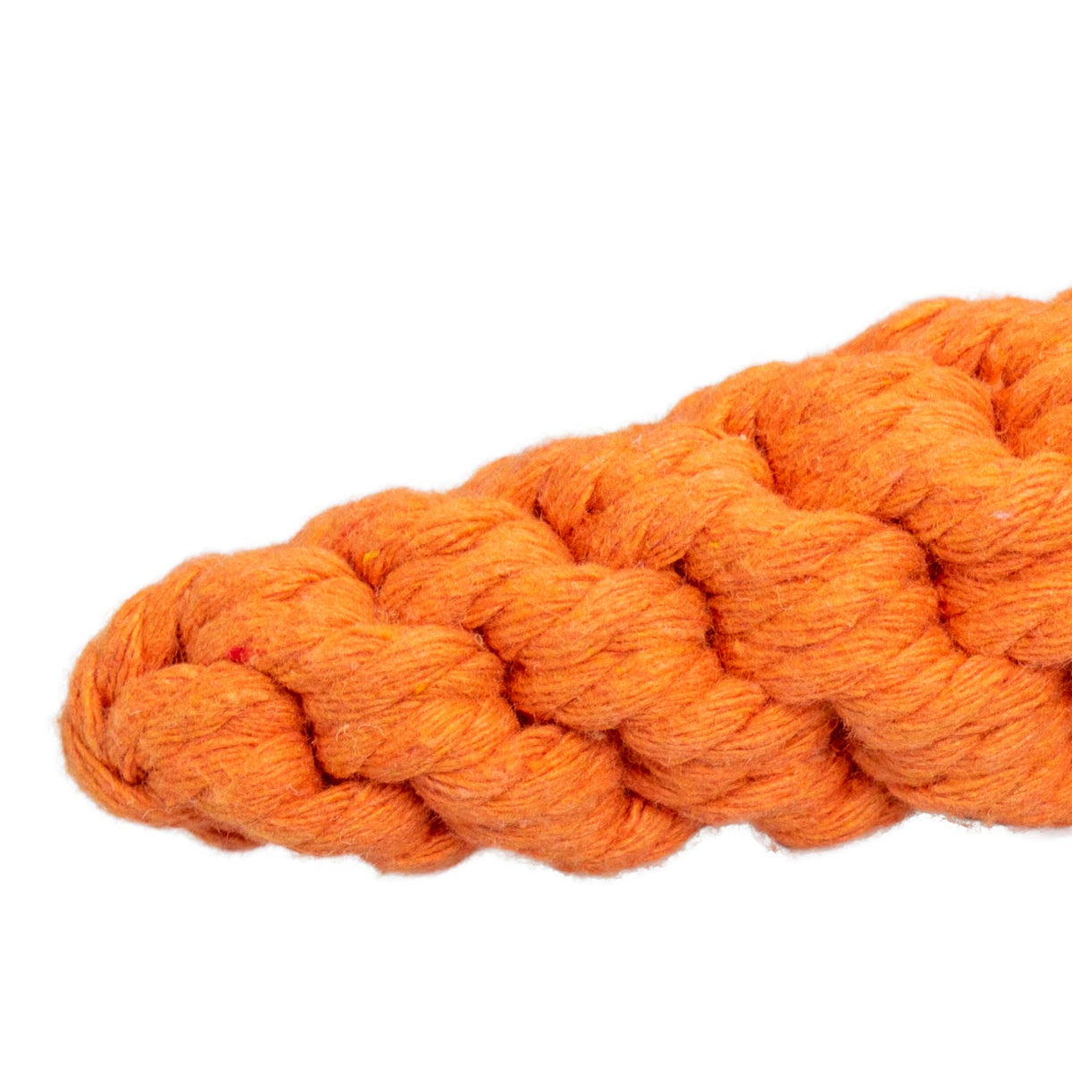 AQPET FRIENDS AQPET Dog Toys Carrot Rope Toy Cotton 21 x 4cm Fun Dog Toy Pet