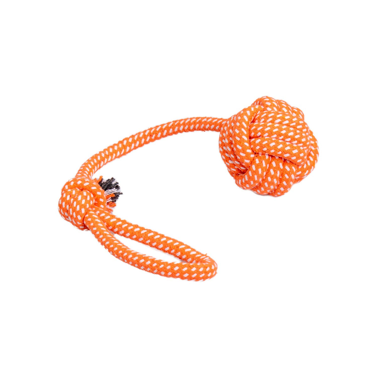 AQPET FRIENDS AQPET Giochi Per Cane Rope Corda Con Palla In Cotone 41 X 7 Cm Gioco Per Cani Divertimento Pet