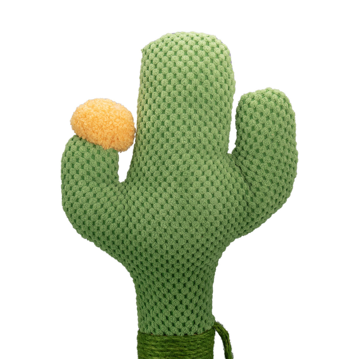 AQPET FRIENDS Tiragraffi Cactus 54 cm con Cuccia per Gatti Albero Parco Giochi Gioco Tira Graffi per Gatto, Verde