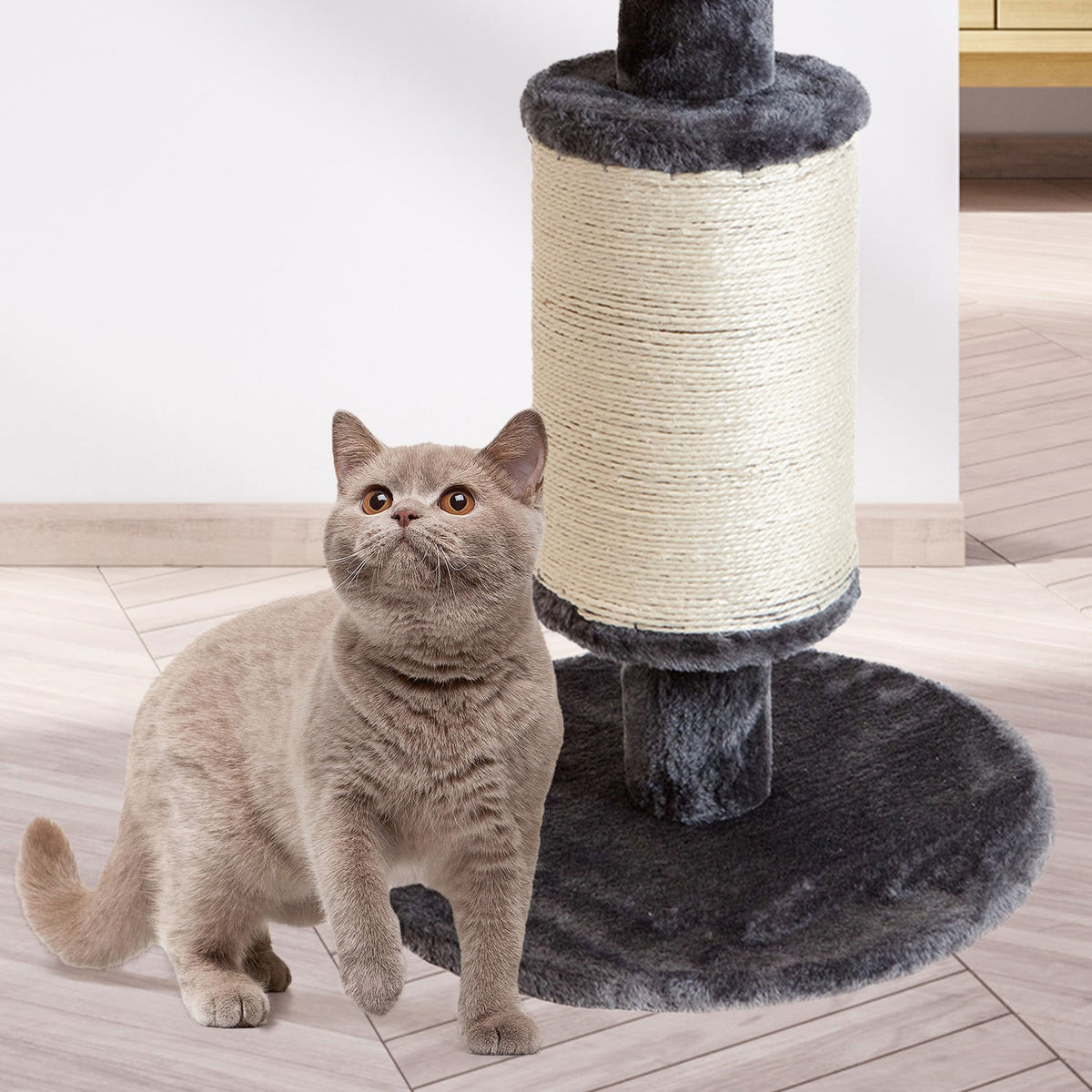 AQPET FRIENDS Cat Scratching Post in Sisal and Fabric with Platform, 58 cm High for your Cat's Maximum Fun, Grey