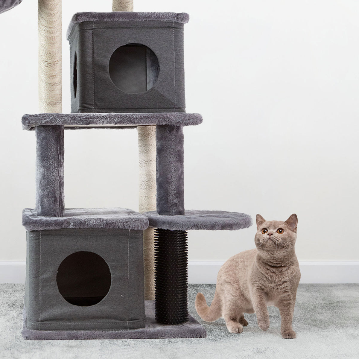 AQPET FRIENDS London Cat Scratcher 48X44X125 Cm H For Cats Game Cat Relax And Fun Toy