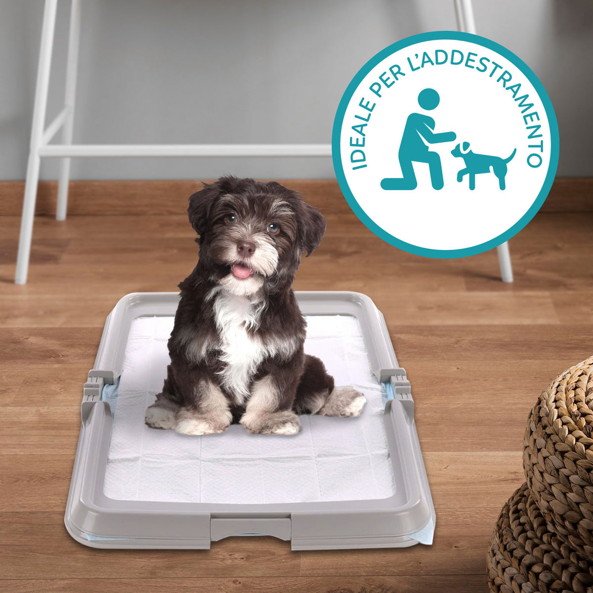 AQPET FRIENDS Lettiera per Cani, Toilette Pieghevole 86x62 cm, Vassoio Porta Tappetini Assorbenti, Ideale per Addestramento Cuccioli e Uso in Casa