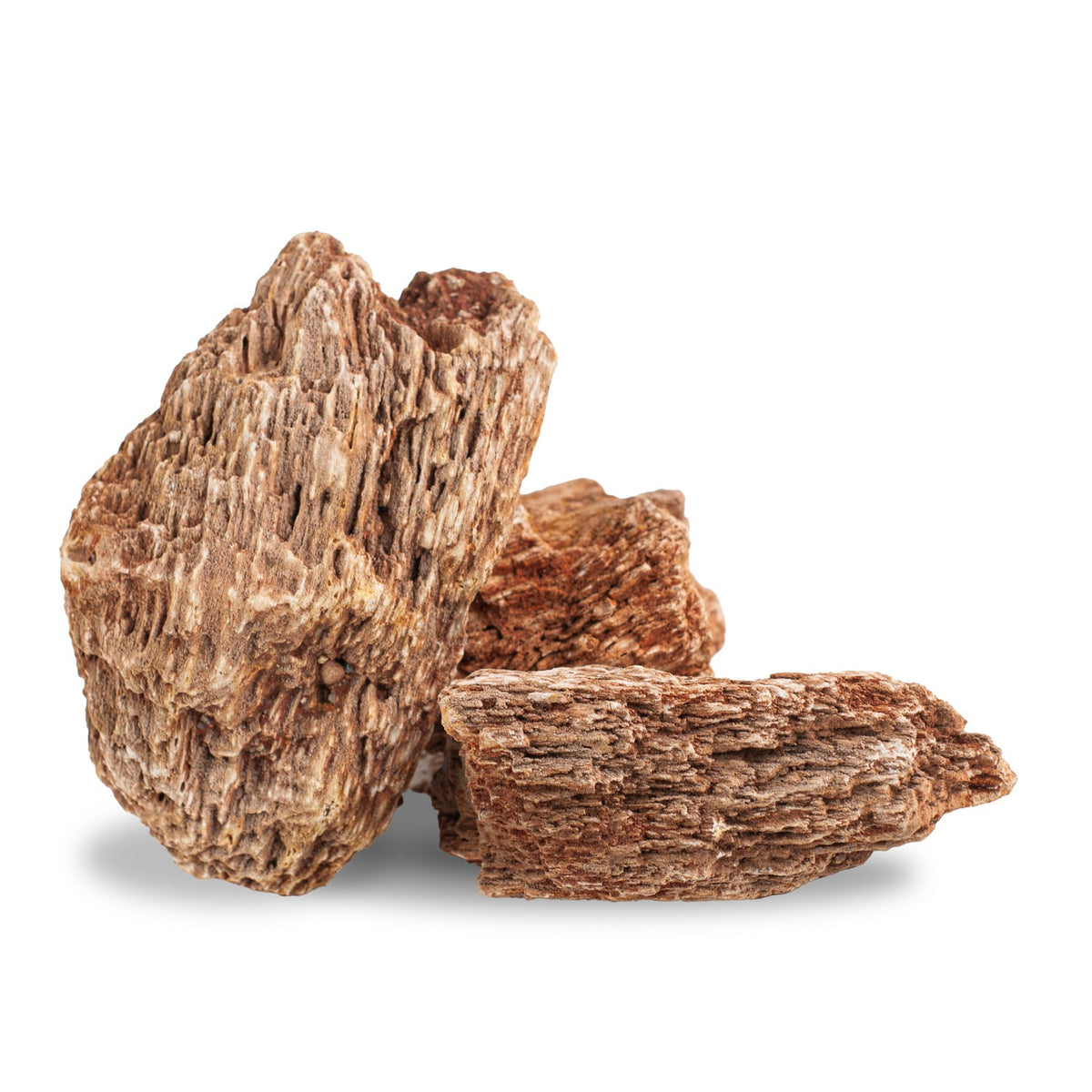 AQPET ZEN STONE ROCCE RED WOOD FOSSIL (CONF. 20KG MIXED)
