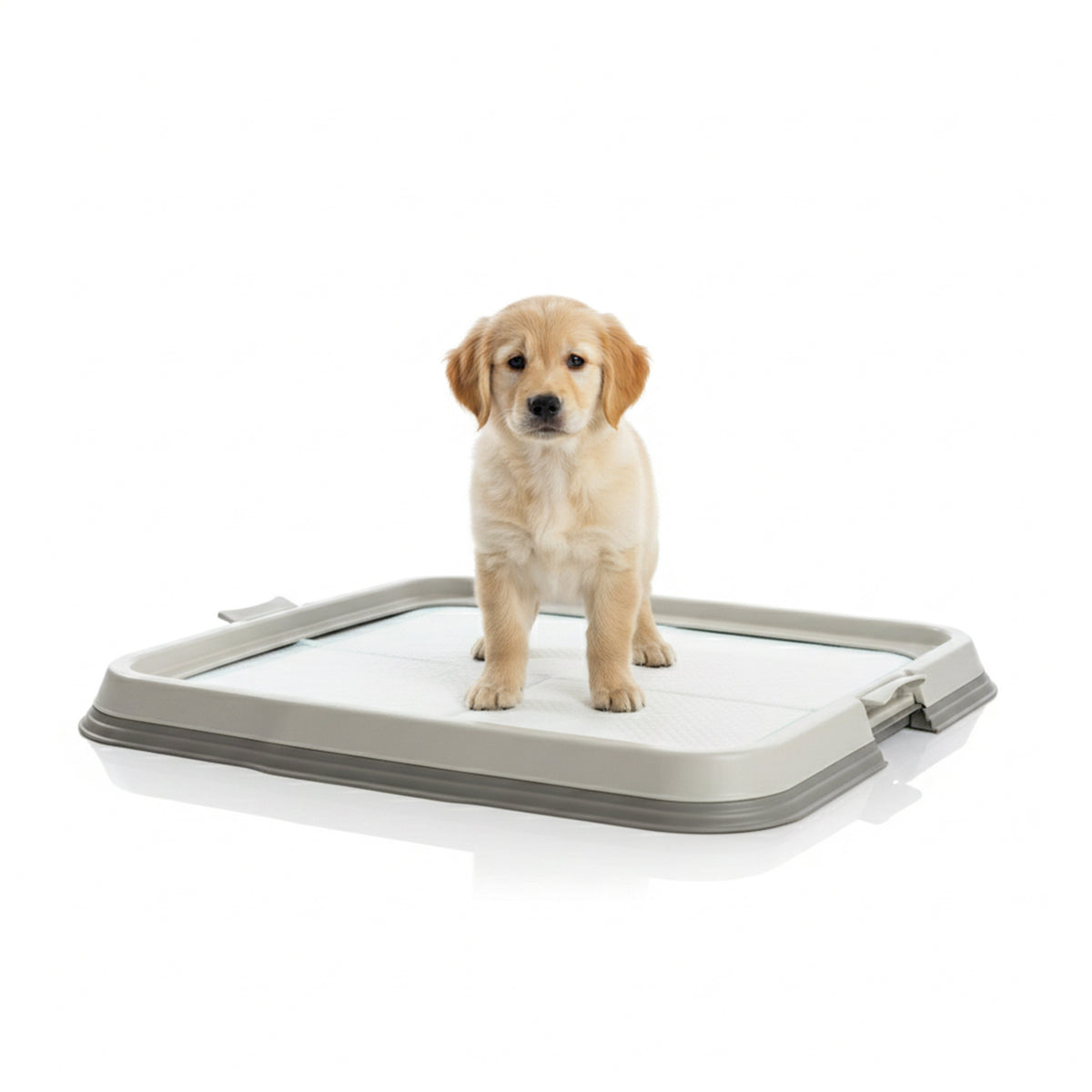 AQPET FRIENDS Lettiera per Cani con Vassoio Porta Tappetini Assorbenti 60x60 cm, Base Antiscivolo per Traversine Igieniche, Ideale per Addestramento Cuccioli e Uso Domestico