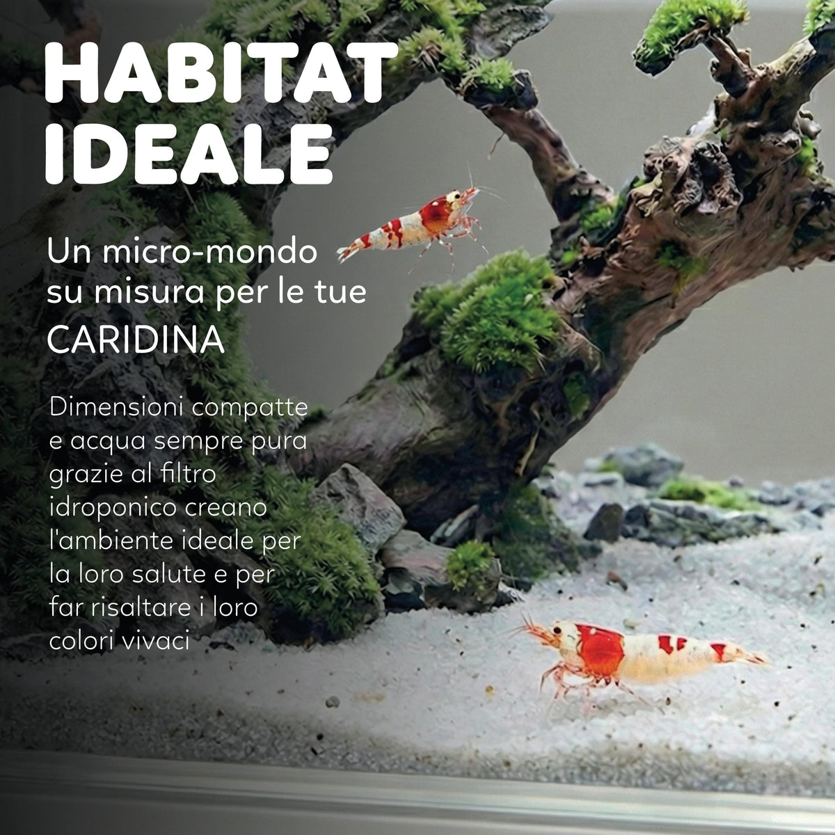 AQUAPET HYDO DESKTOP AQUARIUM DOCK STATION