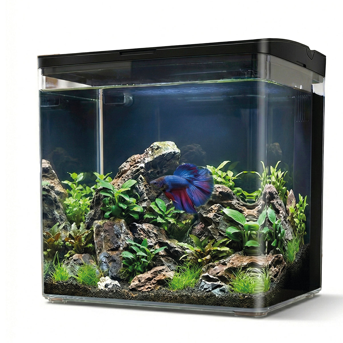 AQPET NEYA ACQUARIO DA SCRIVANIA NERO