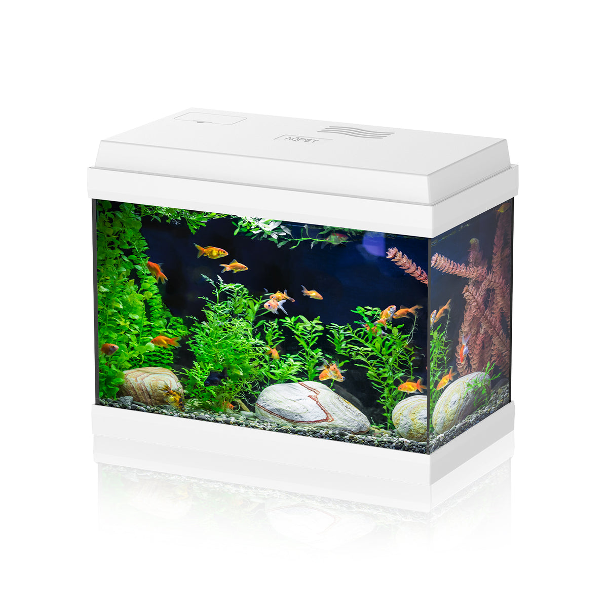 AQPET ACQUARIO SIMPLY LED 30 BIANCO COMPLETO LUCE E FILTRO - 39X22X30 H CM