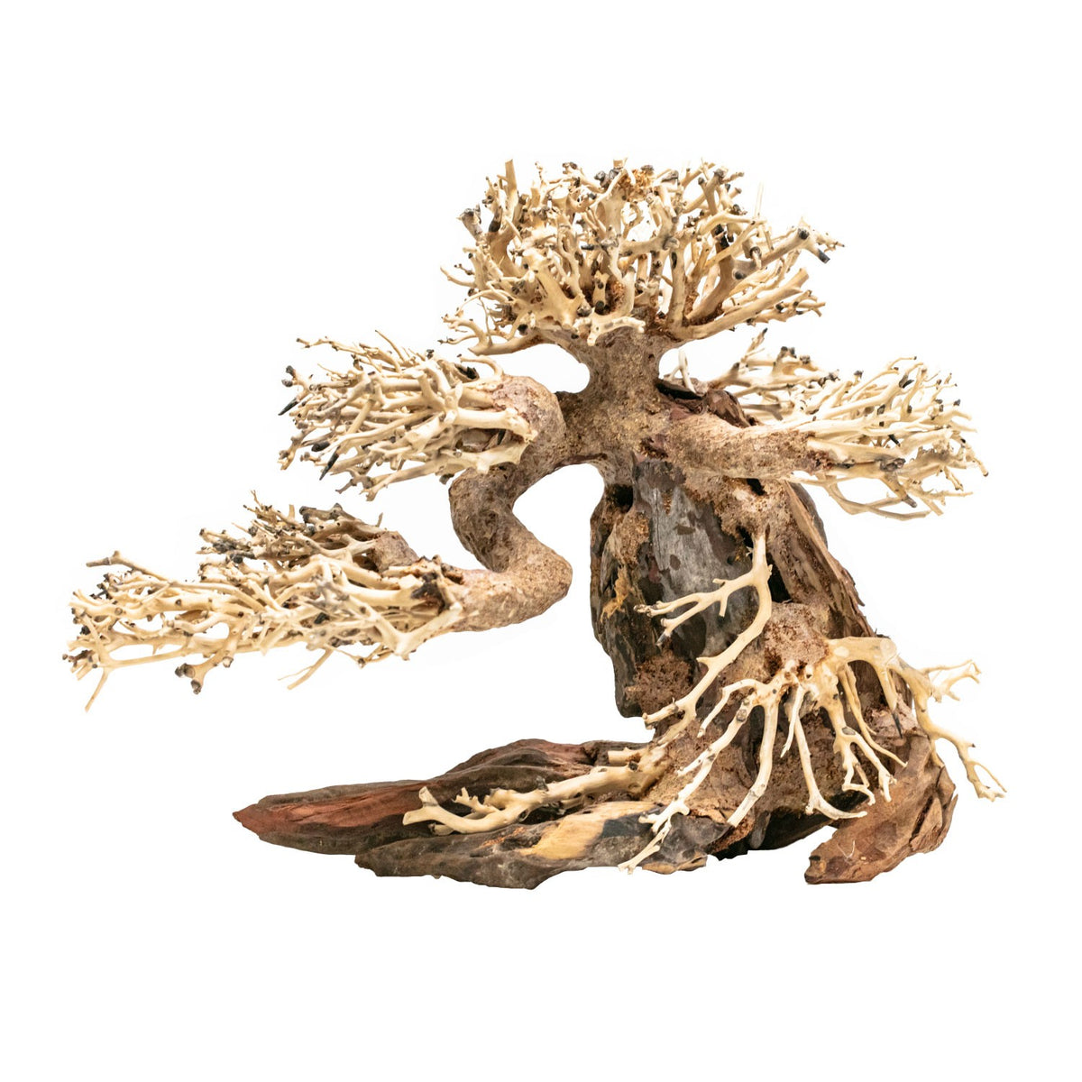 AQPET ZEN BONSAI PINE