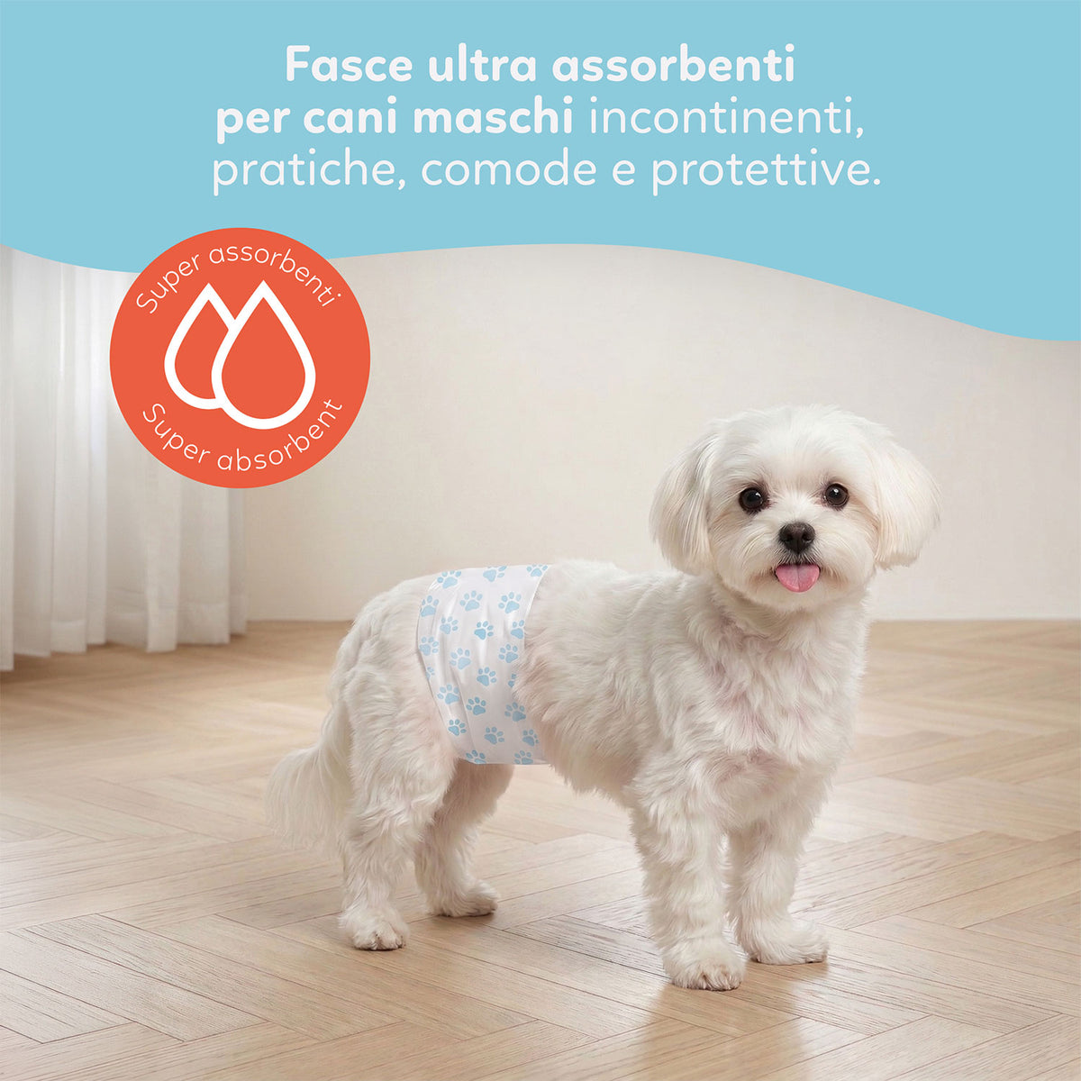 AQPET FRIENDS Nappy Slips Pannolini A Fascia Per Cani Maschi 36 Pezzi Assorbenti Igiene Quotidiana