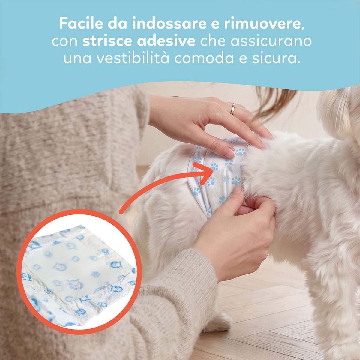 AQPET FRIENDS Nappy Slips Pannolini A Fascia Per Cani Maschi 36 Pezzi Assorbenti Igiene Quotidiana