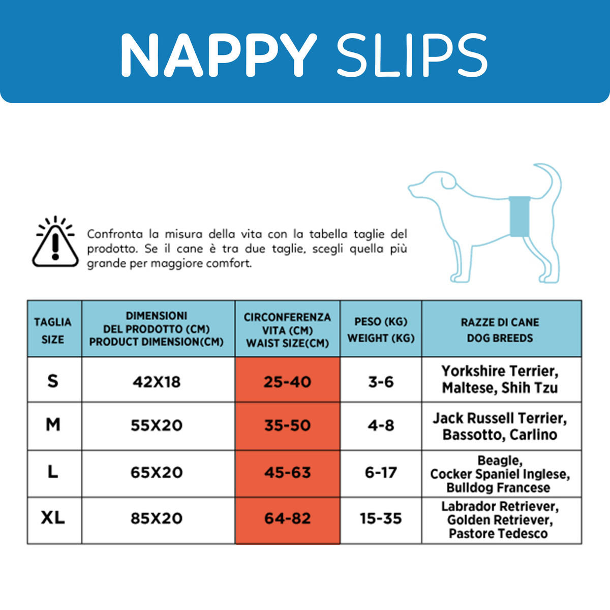 AQPET FRIENDS Nappy Slips Pannolini A Fascia Per Cani Maschi 36 Pezzi Assorbenti Igiene Quotidiana