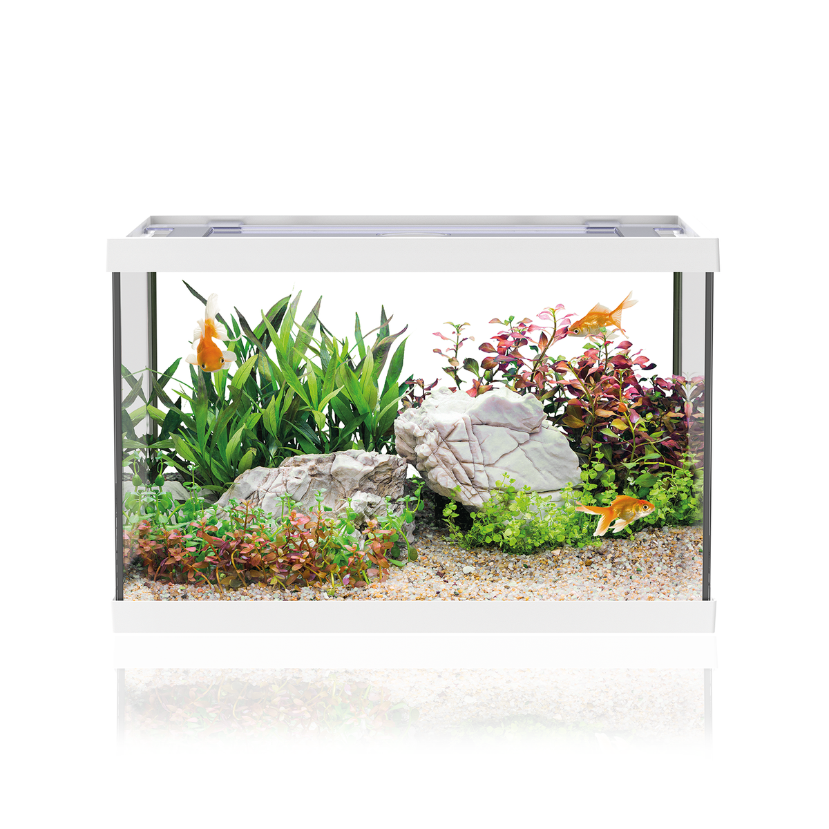 AQPET ACQUARIO ONE MINI IN VETRO 20 LT 39x22x26h BIANCO