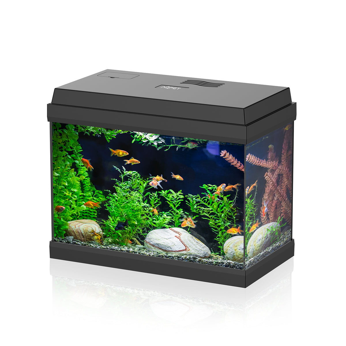 AQPET ACQUARIO SIMPLY LED 30 NERO COMPLETO LUCE E FILTRO - 39X22X30 H CM