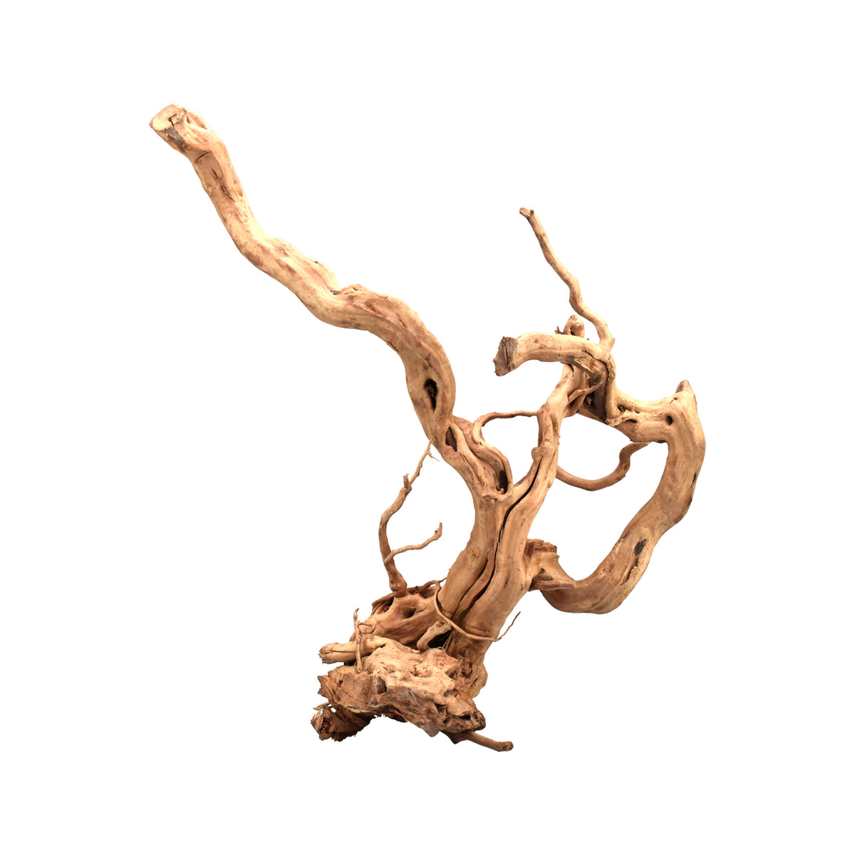 AQPET ZEN WOOD ROOT RADICE LEGNO SELECT