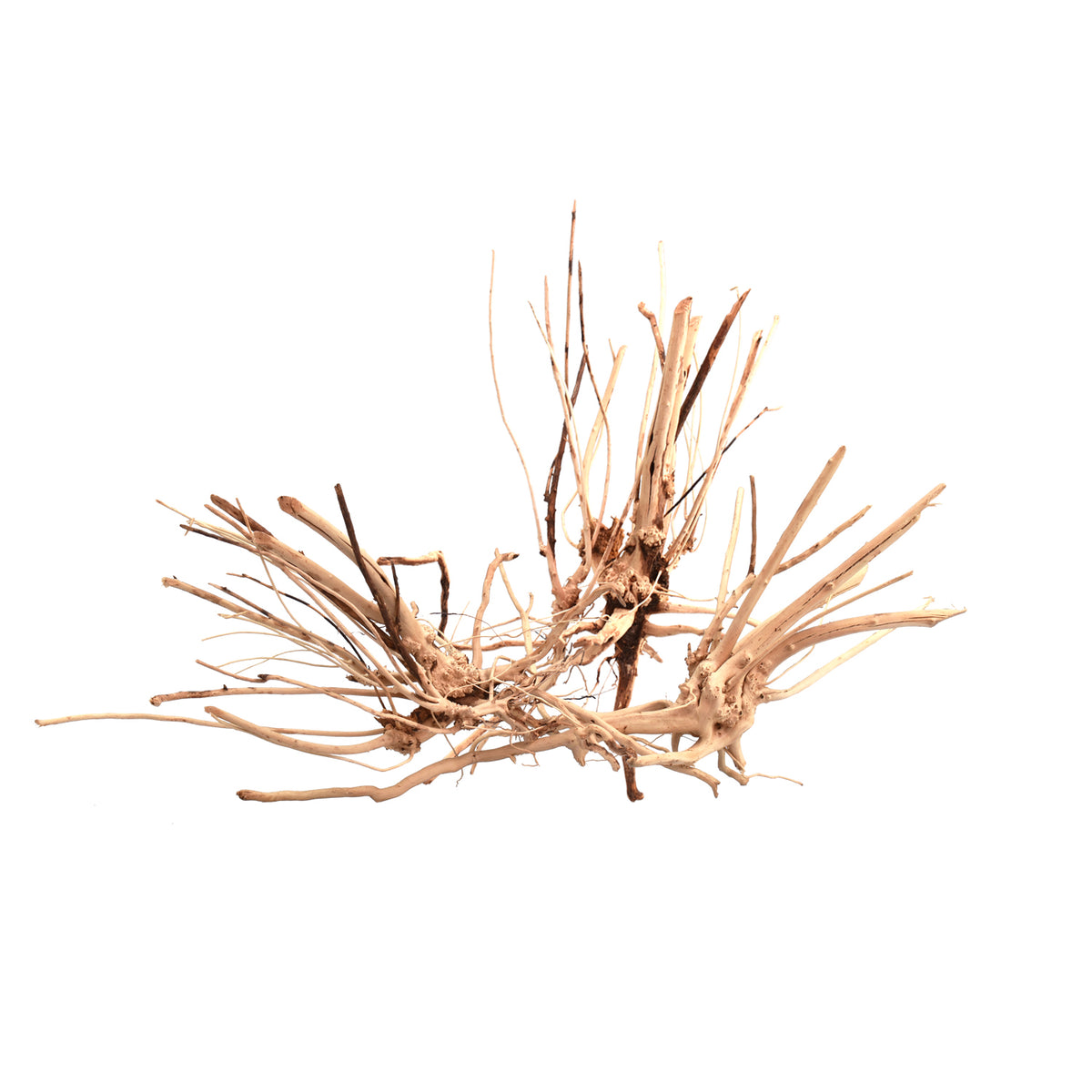 AQPET ZEN WOOD SLIM ROOT WOOD SELECT