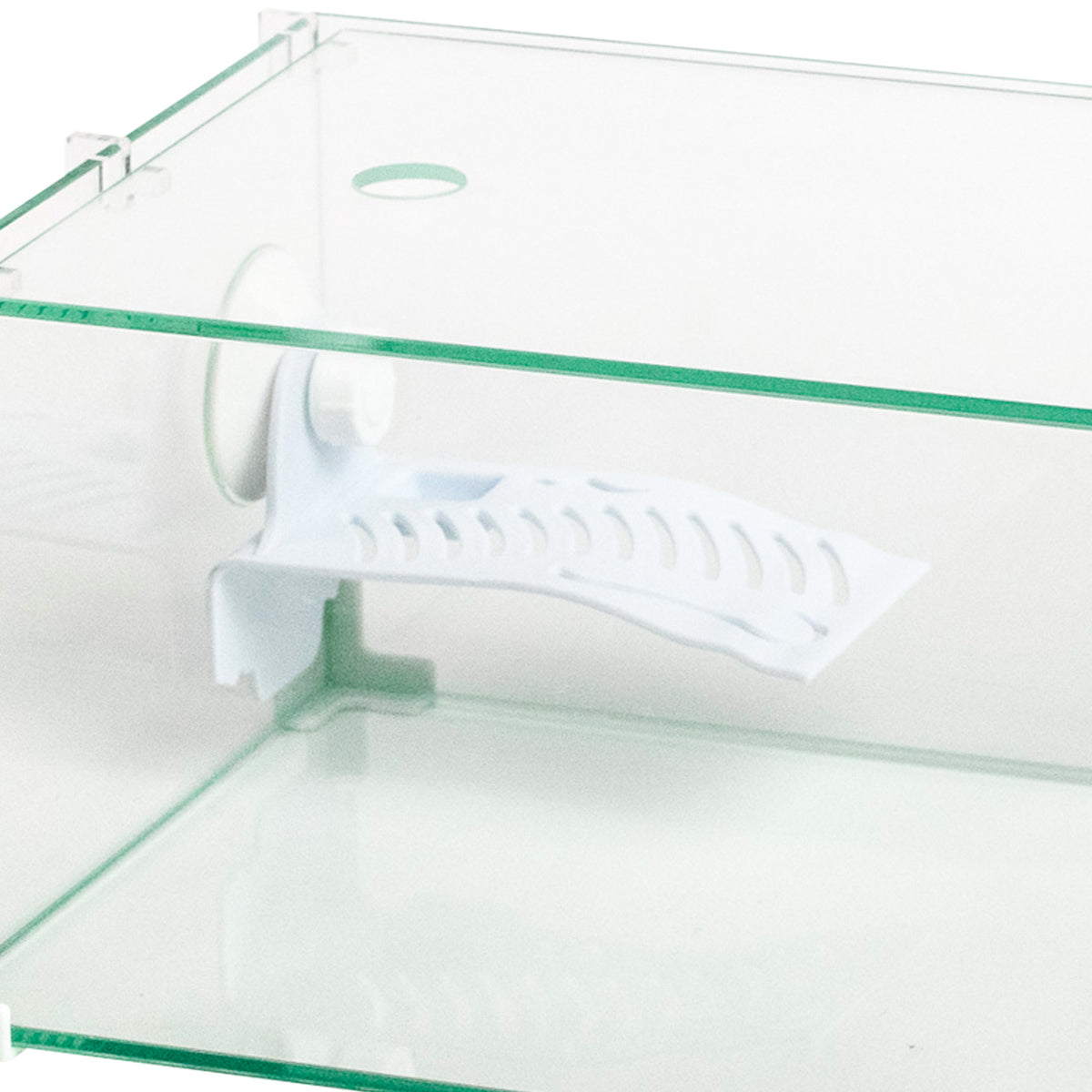 AQPET TARTARUGHIERA IN VETRO TORTUGA 40 - 40X24X17 CM CON ISOLOTTO