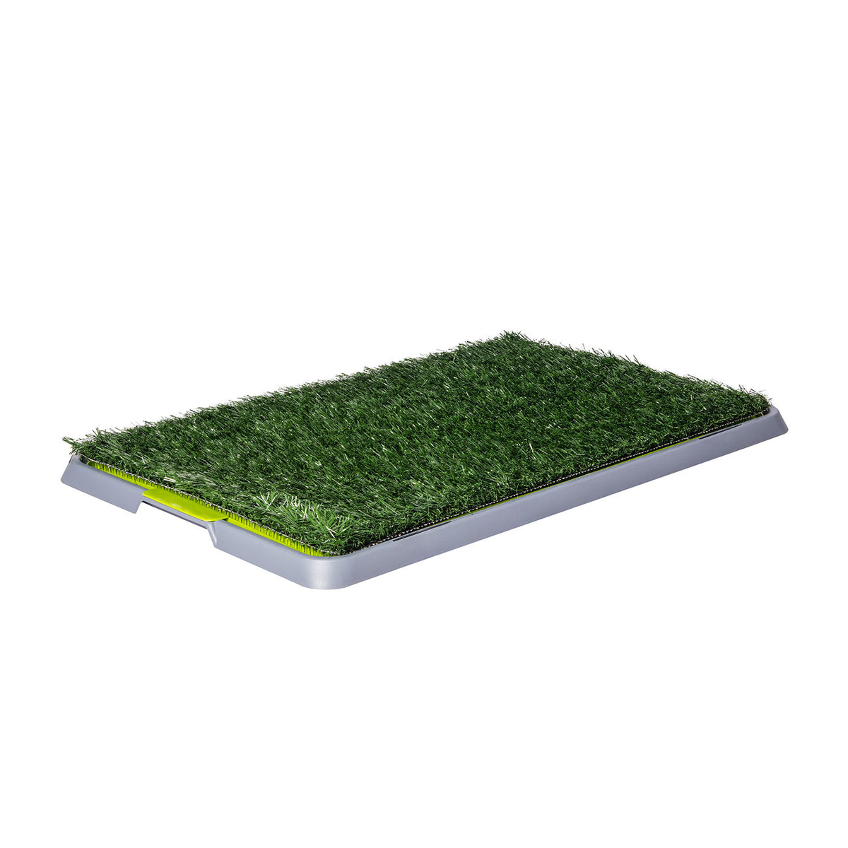 AQPET FRIENDS Lettiera DogLitter con Erba Sintetica per Bisogni Cane Cuccioli 67x42x5 cm