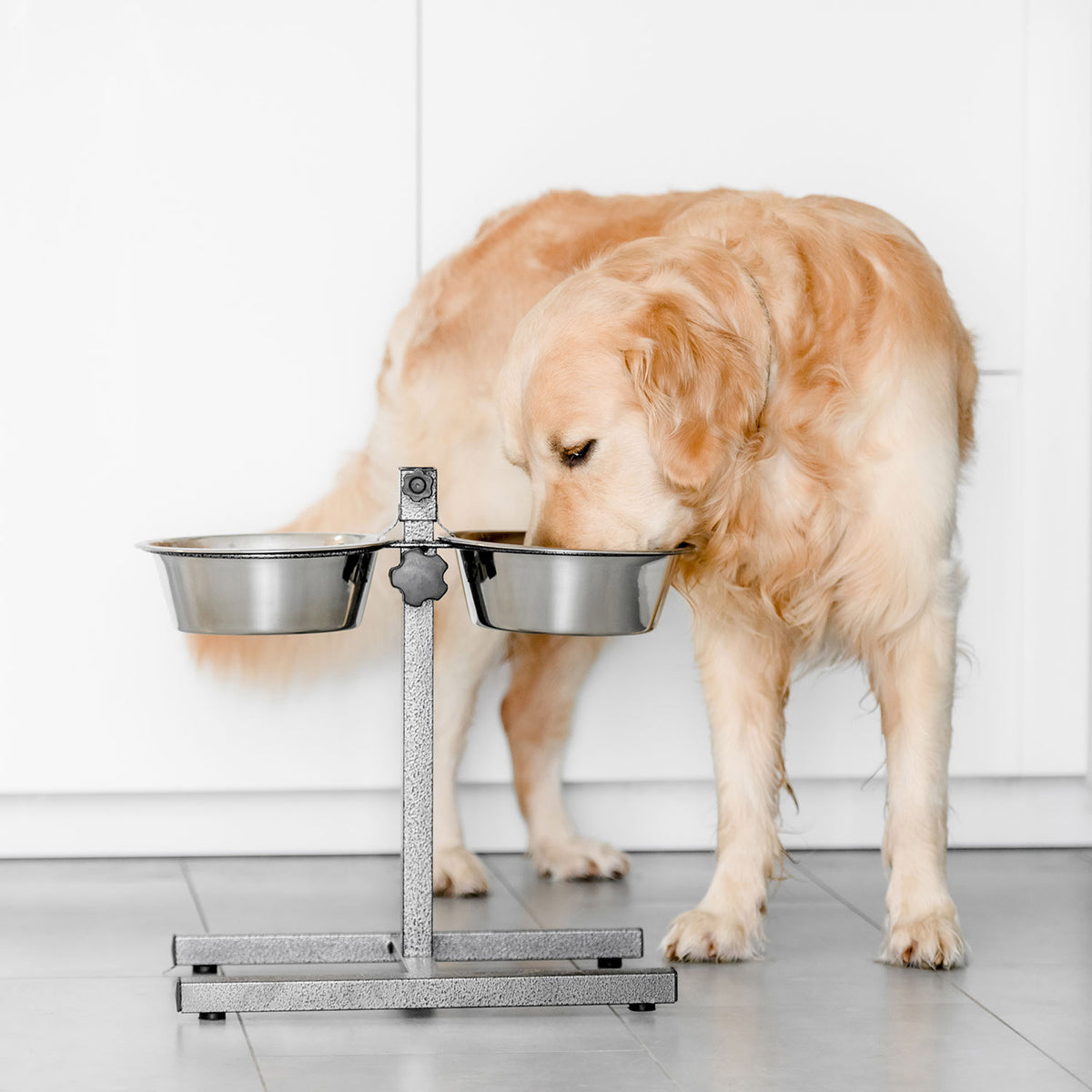 AQPET FRIENDS Yummy H Support With 2 Raised Stainless Steel Bowls Adjustable Height For Dogs Cats Small Animals