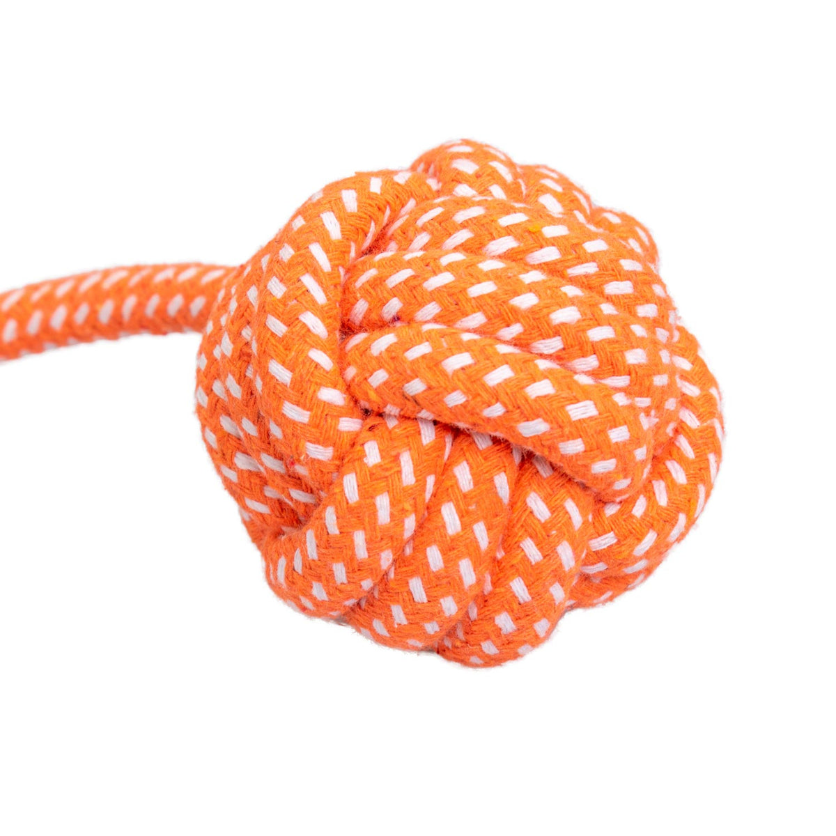 AQPET FRIENDS AQPET Giochi Per Cane Rope Corda Con Palla In Cotone 41 X 7 Cm Gioco Per Cani Divertimento Pet