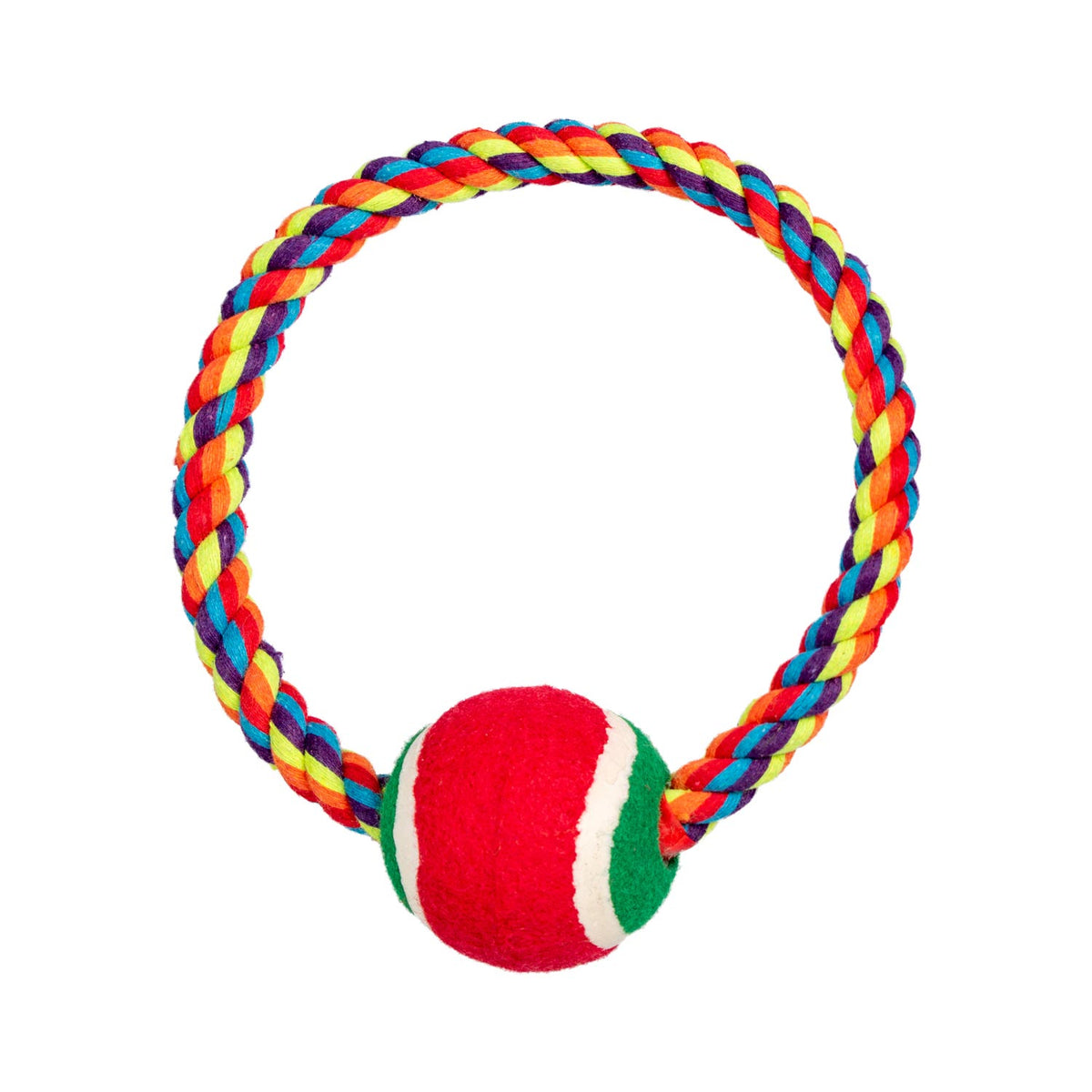 AQPET FRIENDS AQPET Smarty Ring Rope Toy with Ball for Dogs, 20 x 7 cm, Dog Game, Pet Fun