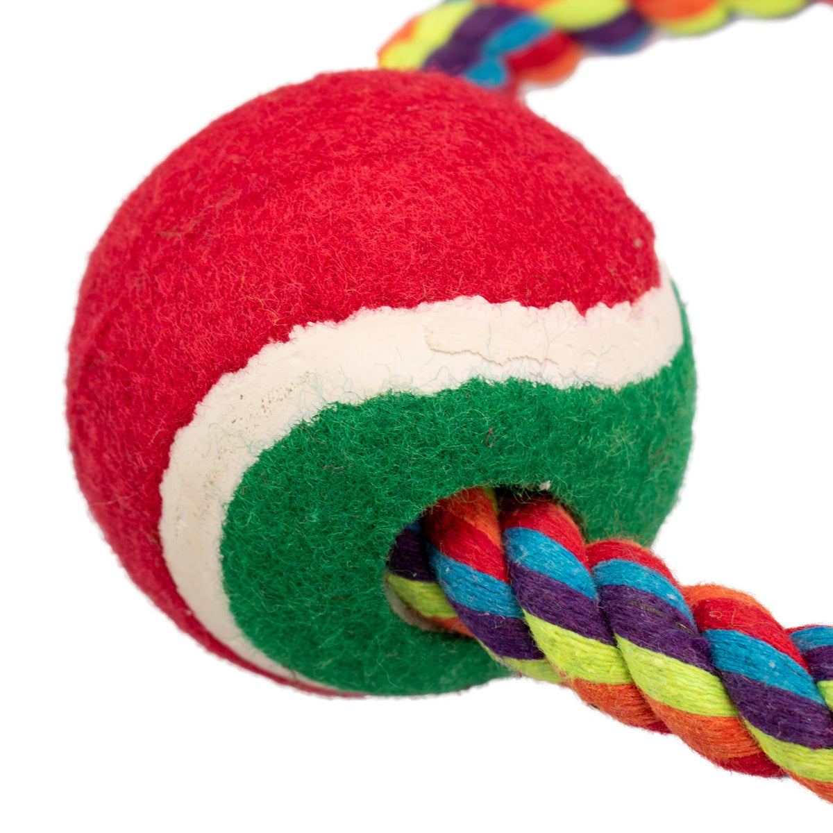 AQPET FRIENDS AQPET Smarty Ring Rope Toy with Ball for Dogs, 20 x 7 cm, Dog Game, Pet Fun