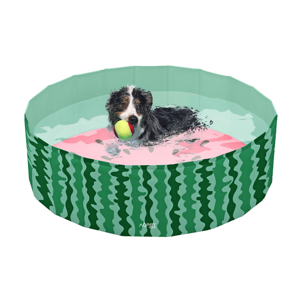 AQPET FRIENDS Pool Piscina Cane Fantasia Fruit Per Cani Pieghevole Antigraffio Outdoor Giardino