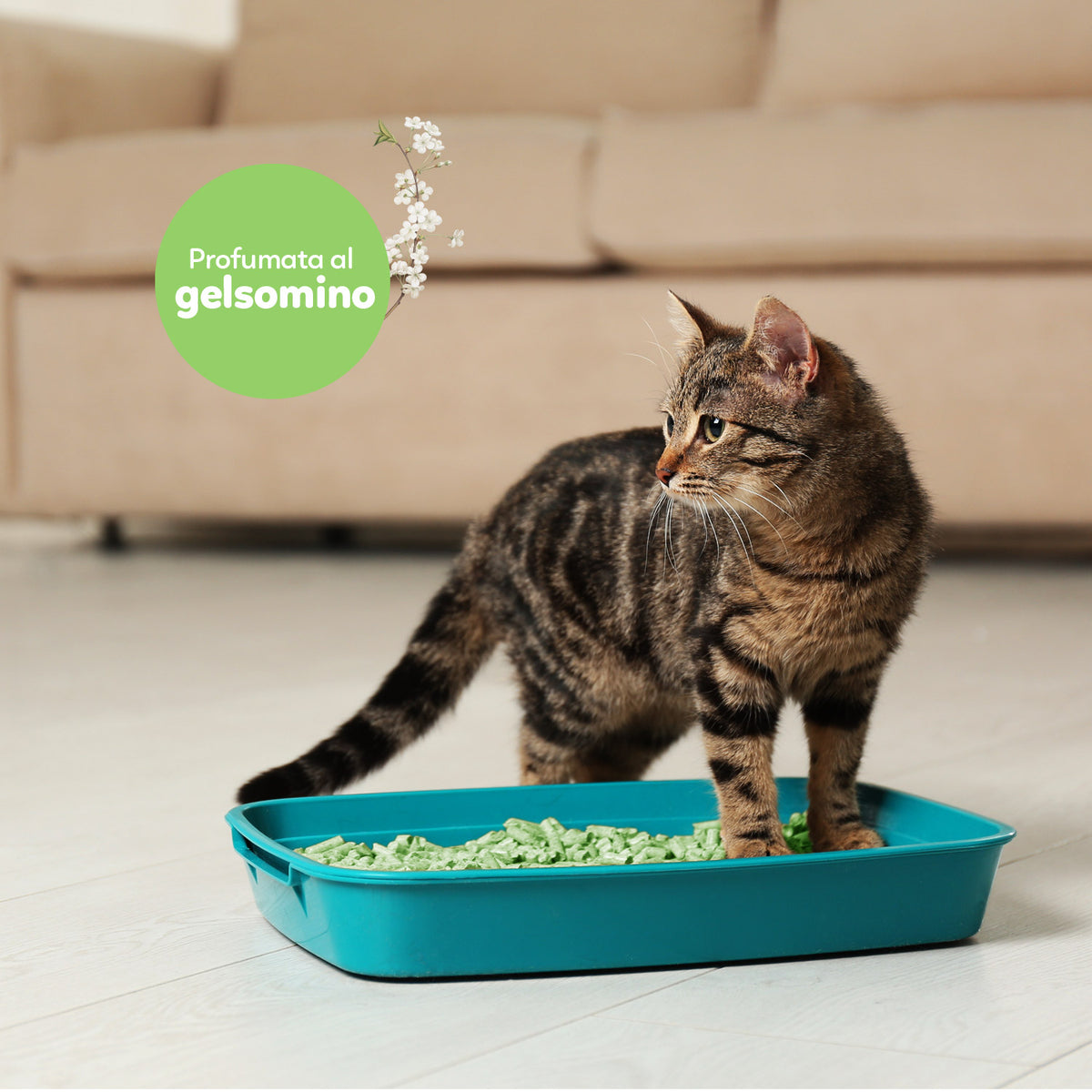 AQPET FRIENDS Catty Green Lettiera Alla Soia Profumazione Gelsomino 6LT Per Gatti Super Assorbente Antiodore Igiene Gatto