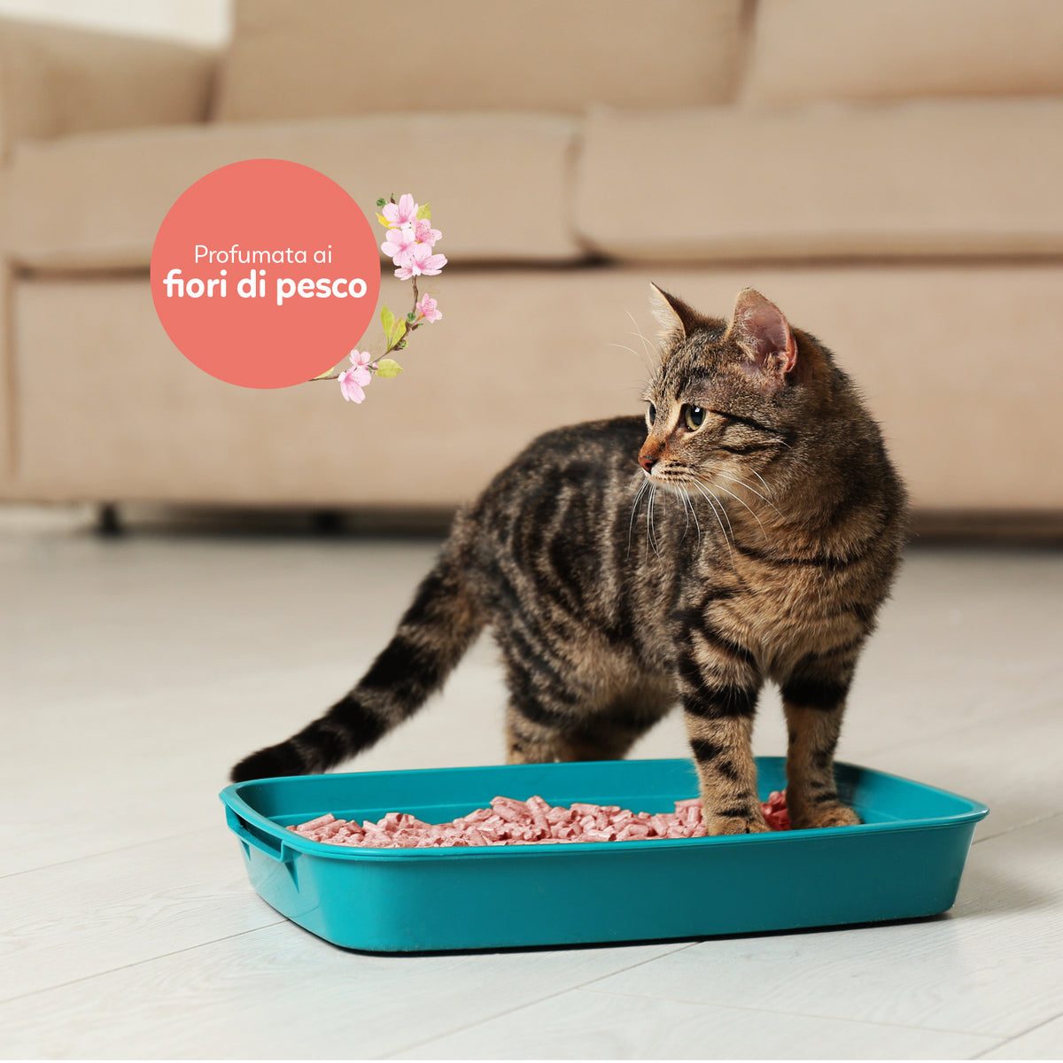 AQPET FRIENDS Catty Green Soy Litter Peach Blossom Scent 6L For Cats Super Absorbent Odor Control Cat Hygiene