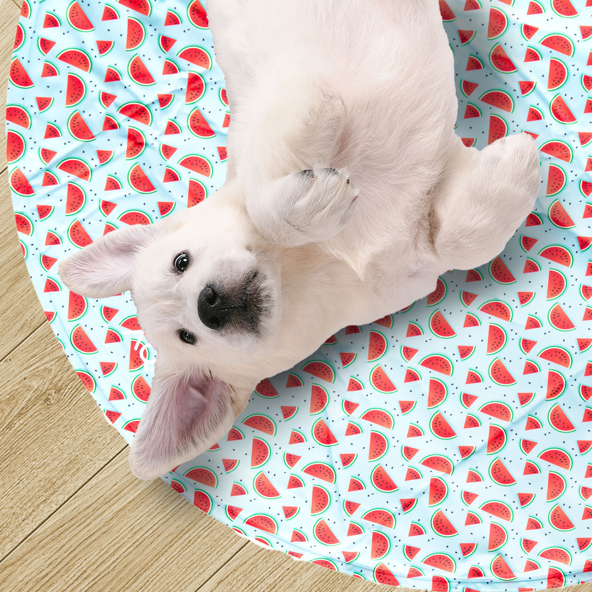 AQPET FRIENDS Round Cooling Mat for Dogs, Non-Toxic Gel, Self-Cooling System, Fruit Pattern, Diameter 60 cm