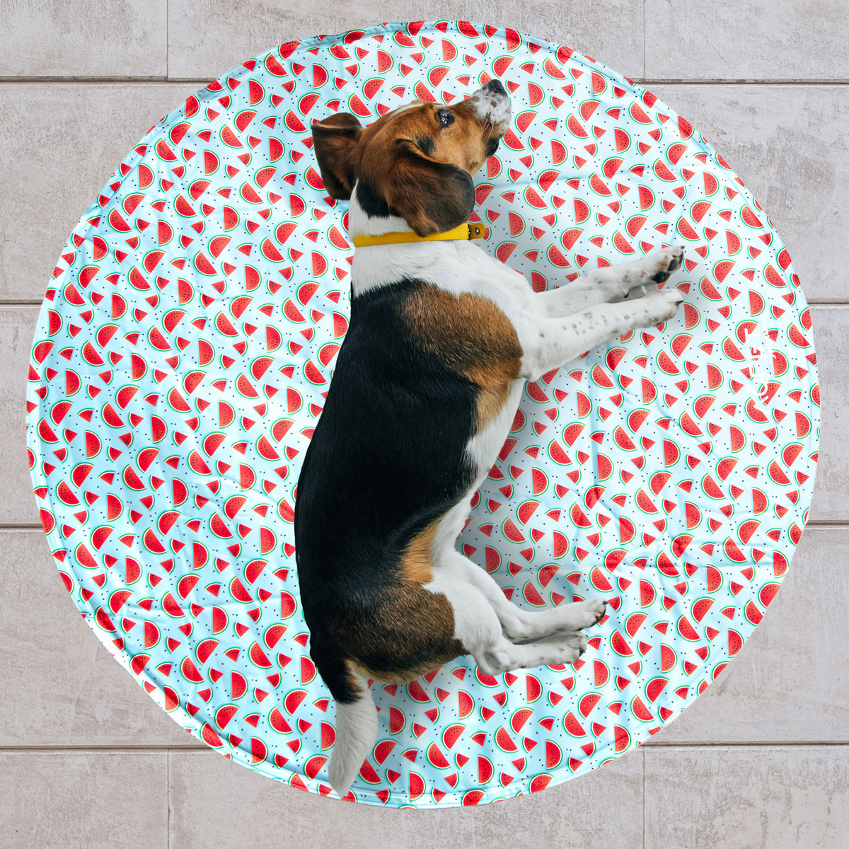 AQPET FRIENDS Round Cooling Mat for Dogs, Non-Toxic Gel, Self-Cooling System, Fruit Pattern, Diameter 60 cm