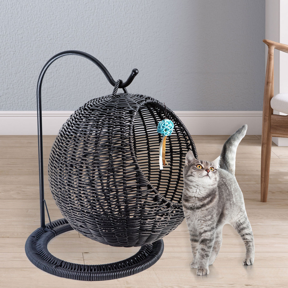 AQPET FRIENDS Morfeo Suspended Cat Basket for Kittens Hand-Woven Wicker with Soft Cushion Included, Black, 46x62 cm