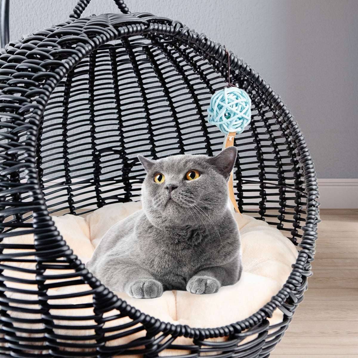 AQPET FRIENDS Morfeo Suspended Cat Basket for Kittens Hand-Woven Wicker with Soft Cushion Included, Black, 46x62 cm