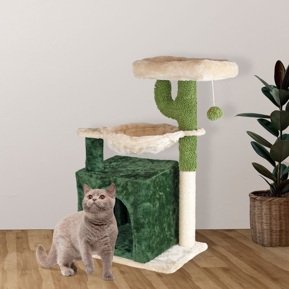 AQPET FRIENDS Mexico Cat Scratcher 40X30X75 Cm For Cats Play Cat Relaxation And Fun