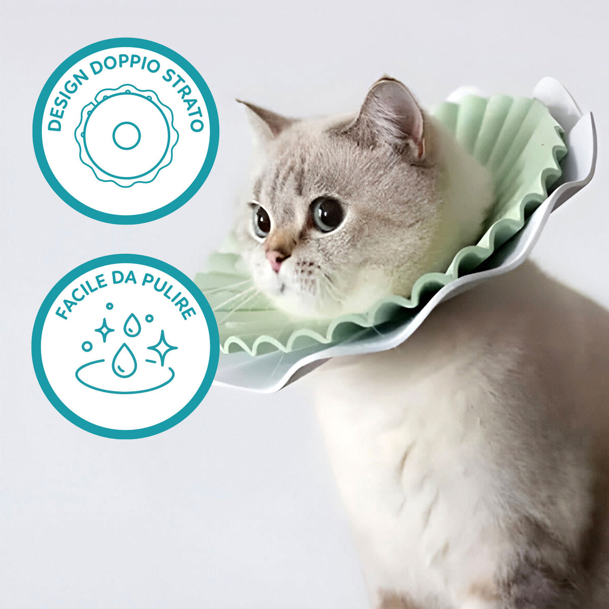 AQPET FRIENDS Soft Elizabethan Collar for Cats, Pets, Flexible and Lightweight Plastic, Double Layer, Adjustable and Comfortable, Post-Operative and Wound Protection