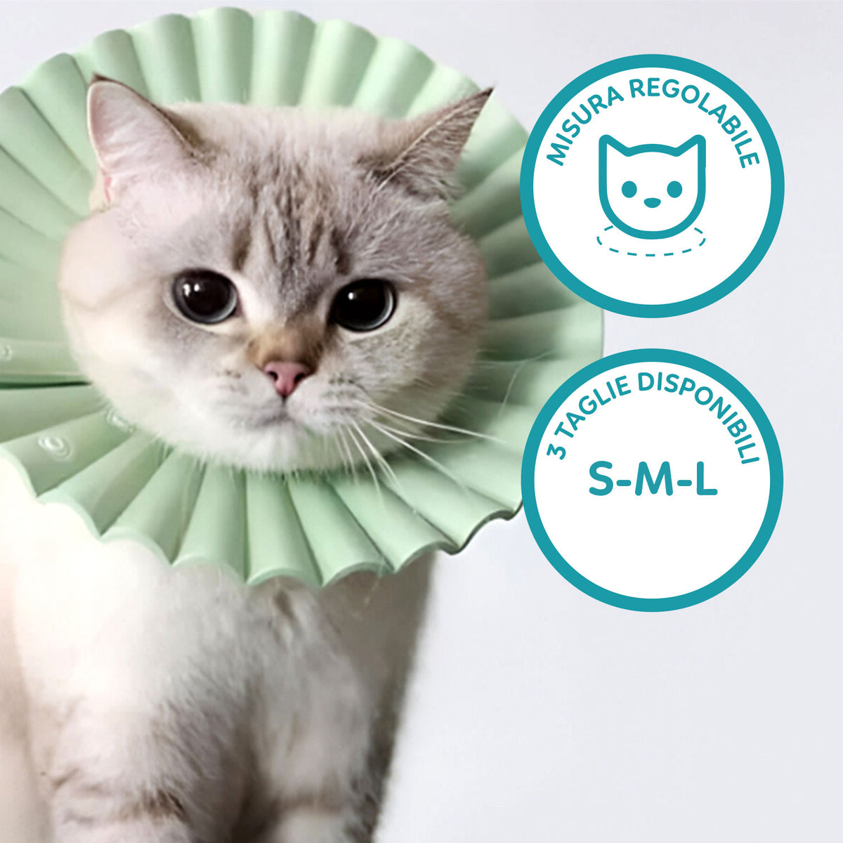 AQPET FRIENDS Soft Elizabethan Collar for Cats, Pets, Flexible and Lightweight Plastic, Double Layer, Adjustable and Comfortable, Post-Operative and Wound Protection